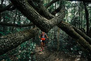 BIB: 
                            <button type="button" onclick="openModal(25663693)" class="btn btn-primary btn-sm float-right btn-popup" data-toggle="modal" data-target=".modal-high-quality">
                        <i class="fas fa-shopping-cart"></i> Add to Cart
                    </button>
                                            <button type="button" onclick="isThisMe(25663693, true)" class="btn btn-success btn-sm float-right btn-popup btn-isme hidden" data-toggle="tooltip" data-placement="bottom" title="นี่คือรูปของคุณใช่ไหม คลิกที่นี่เพื่อเอาเข้าอัลบั้ม">
                        <i class="fas fa-plus"></i> Add to album
                    </button>
                    <button type="button" onclick="isThisMe(25663693, false)" class="btn btn-warning btn-sm float-right btn-popup btn-isnotme hidden">
                        <i class="fas fa-ban"></i> Remove from album
                    </button>